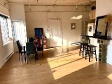 Furnished penthouse loft with private roof top terrace - Photo 12