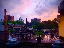 Furnished penthouse loft with private roof top terrace - Photo 13