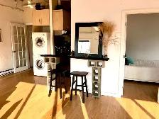 Furnished penthouse loft with private roof top terrace - Photo 15