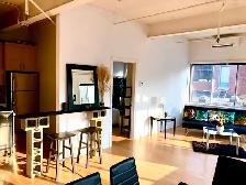 Furnished penthouse loft with private roof top terrace - Photo 18