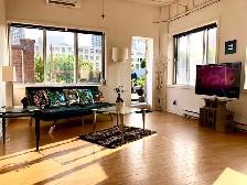 Furnished penthouse loft with private roof top terrace - Photo 20