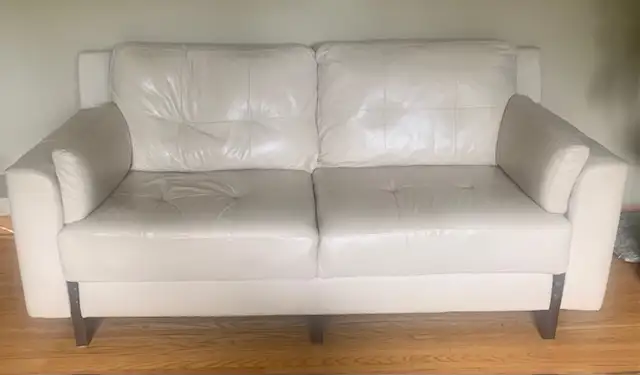Leather Sofa & Love Seat