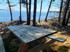Waterfront 3bd/2bath house on 45 acres, Eastern Shore - Photo 7