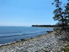Waterfront 3bd/2bath house on 45 acres, Eastern Shore - Photo 8