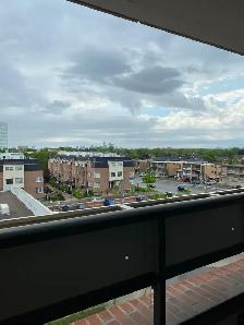 Spacious & Bright 1 Bedroom Condo - Dufferin/Lawrence (Treviso) - Photo 11