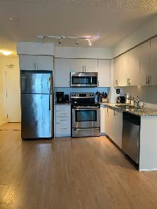 Spacious & Bright 1 Bedroom Condo - Dufferin/Lawrence (Treviso) - Photo 12