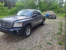 2010 Dodge Dakota - Photo 5