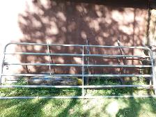 For Sale 3 Metal Pipe Gates - Photo 2