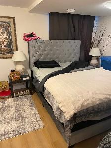 Amazing 1-bedroom basement suite in beautiful Legacy SE! - Photo 4