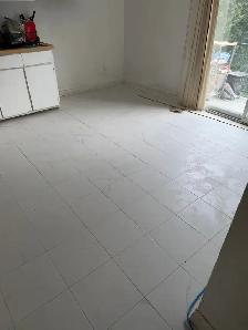 Handyman/Homme a tout faire Demolition - Renovation - Ramassage - Photo 4