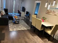 newer 2 bed 1 bath spacious appartment ,park  ,Port Coquitla