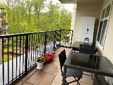 newer 2 bed 1 bath spacious appartment ,park  ,Port Coquitla - Photo 8