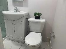 1   Den Basement for Rent - Photo 3