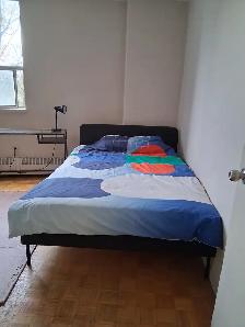 Apartment Room for Rent on Yonge Street