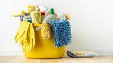 Home cleaner