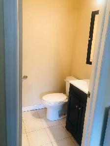 A beautiful master bedroom/parking near UTM for rent - Photo 3