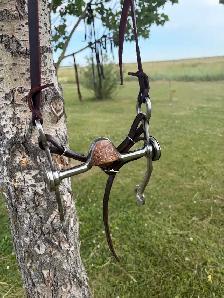 curb bit and bridle