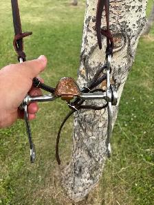 curb bit and bridle - Photo 2
