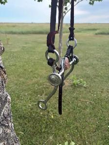 curb bit and bridle - Photo 3