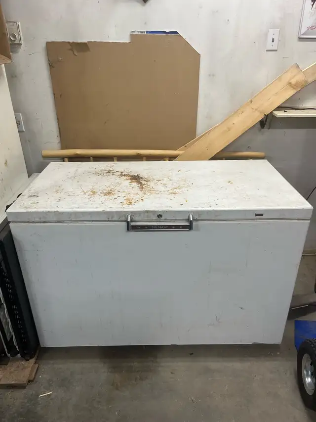 Freezer for sale