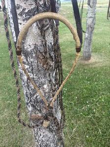hackamore bosal mecate - Photo 2