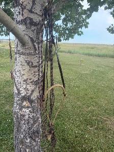hackamore bosal mecate - Photo 3