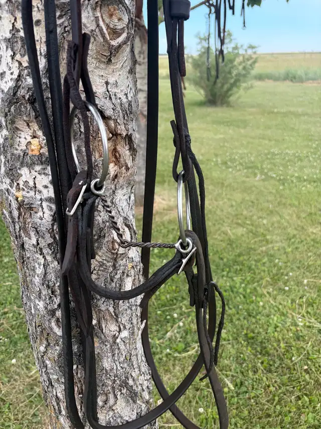 twisted wire snaffle and leather headstall