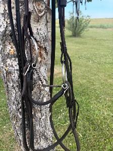 twisted wire snaffle and leather headstall