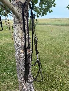 twisted wire snaffle and leather headstall - Photo 3