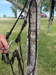 twisted wire snaffle and leather headstall - Photo 4
