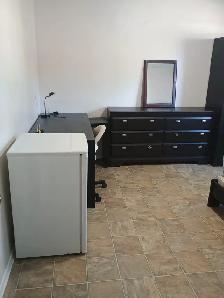 Room available for rent
