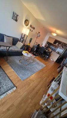 Spacious Private Room (Den) For Rent - Next to Square One - Photo 11