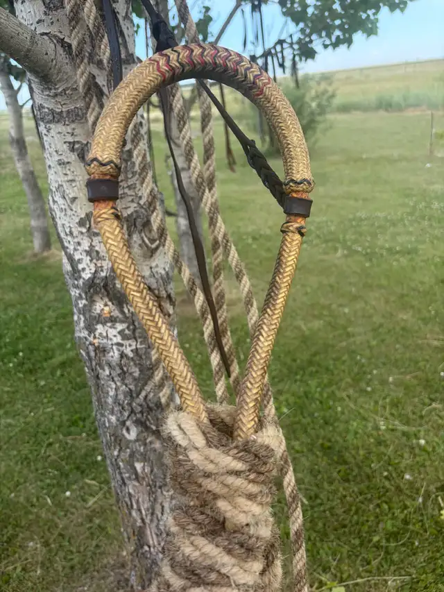 rawhide hackamore