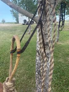 rawhide hackamore - Photo 3