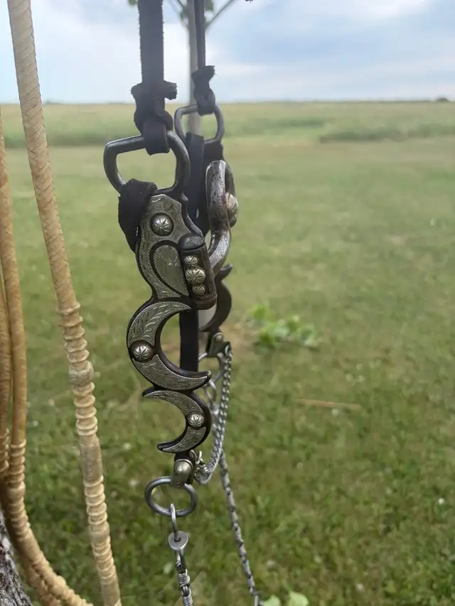 curb bit, leather hanger, and rawhide Romal rains