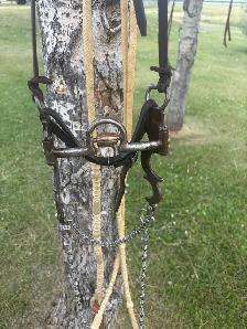 curb bit, leather hanger, and rawhide Romal rains - Photo 2