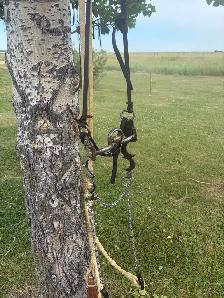 curb bit, leather hanger, and rawhide Romal rains - Photo 3