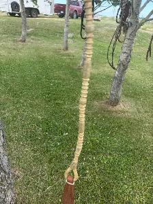 curb bit, leather hanger, and rawhide Romal rains - Photo 5