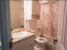 très grande chambre, double à louer dans  sous-sol de maison - Photo 4