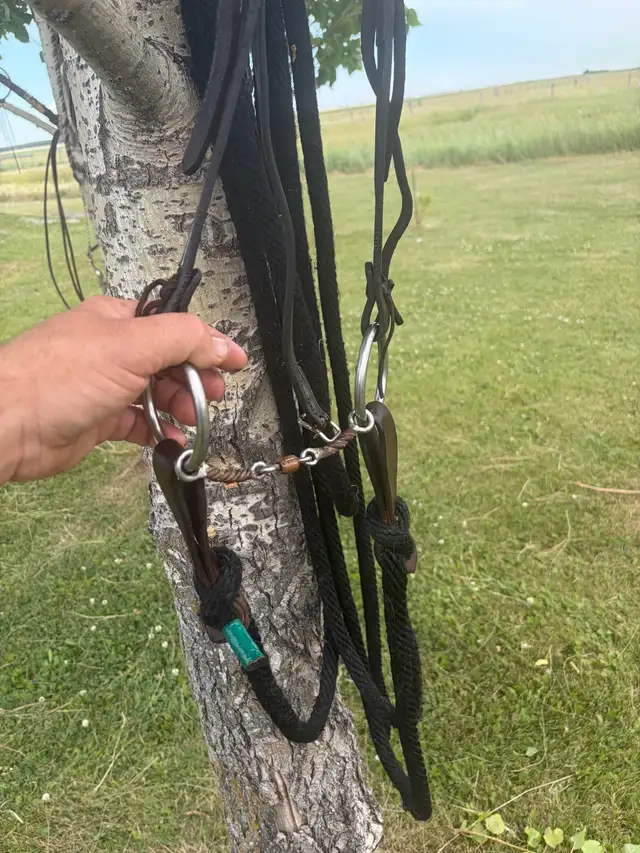 3 piece snaffle with roller