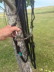 3 piece snaffle with roller
