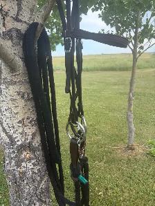 3 piece snaffle with roller - Photo 4
