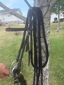 3 piece snaffle with roller - Photo 6