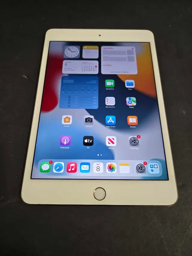 32GB Ipad Mini 4th Gen