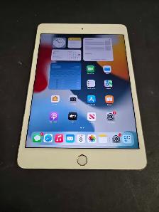 32GB Ipad Mini 4th Gen