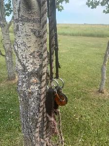 copper snaffle bit
