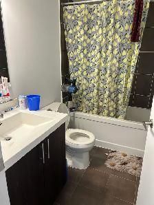 Private Room   Private Bath | 1420 Dupont St | Vegetarian - Photo 3