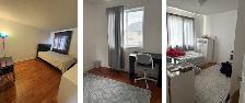 House for Rent in Orleans, ON - Photo 8