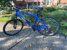 Haro Flightline Mountain Bike