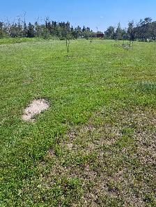 Are you looking for ready to build or just want a quieter life? - Photo 4